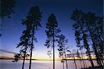 Bäume und See bei Sonnenuntergang, Laponia, Lappland, Schweden, Skandinavien, Europa