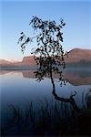 Herbstfarben, Laponia, UNESCO Weltkulturerbe, Lappland, Schweden, Skandinavien, Europa