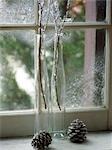 Bottles and Pine Cones on Window Sill