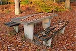 Picnic Table covered in Leaves, Spessart, Bavaria, Germany