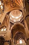 Salamanca Cathedral, Salamanca, Salamanca Province, Castilla y Leon, Spain