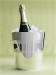 Champagne Bottle in Ice Bucket