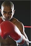 African boxer in fighting stance