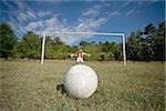 Soccer goalkeeper diving for ball