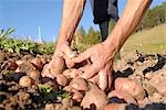 homme travaillant sur un champ, Trentino Alto Adige Italie