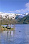 Loch Lomond im Winter, Argyll und Bute, Strathclyde, Schottland, Vereinigtes Königreich, Europa