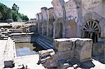 Fordongianus Roman baths, Sardinia, Italy, Europe