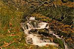 Cours d'eau traversant Grindsbrook, Edale, Parc National de Peak District, Derbyshire, Angleterre, Royaume-Uni, Europe