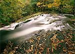 Force tombe à l'automne, la vallée de Ruscand, Parc National de Lake District, Cumbria, Angleterre, Royaume-Uni, Europe