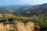 Près de St. Maurice-de-Ventalon, Parc National des Cévennes, Lozère, Languedoc-Roussillon, France, Europe