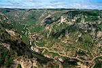 View from Roc des Hourtous of the Gorges du Tarn, Lozere, Languedoc-Roussillon, France, Europe