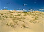Paysage de sable et l'herbe à la Pointe de la Coubre, près de Royan dans la Charente-Maritime, Poitou-Charentes, France, Europe