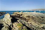 Burgh island, Bigbury, South Hams, Devon, Angleterre, Royaume-Uni, Europe