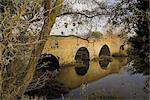 Medieval bridge over the River Arrow, Alcester, Warwickshire, Midlands, England, United Kingdom, Europe