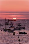 Coucher de soleil sur les bateaux amarrés en mer, Tregastel, Cote de Granit Rose, côtes d'Armor, Bretagne, France, Europe