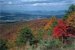 Trees in fall colours with agricultural land in the background in Blue Ridge Parkway, Virginia, United States of America, North America