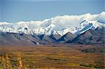 Limite des neiges éternelles sur la chaîne de l'Alaska, le Parc National Denali, Alaska, États-Unis d'Amérique, l'Amérique du Nord