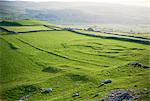 Reste der keltischen Siedlung auf Kalkstein Bank, Hill Burgen, Wharfedale, Yorkshire Dales National Park, Yorkshire, England, Vereinigtes Königreich, Europa