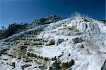 Dépôts de calcite de travertin, Minerva Terrace, Mammoth Hot Springs et terrasses, Parc National de Yellowstone, patrimoine mondial de l'UNESCO, Wyoming, États-Unis d'Amérique (États-Unis d'Amérique), Amérique du Nord