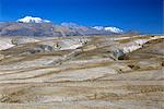 Altiplano desert plateau, near Arequipa, Peru, South America