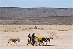 Ferne Frauen mit Esel tragen von Wasser in sehr trockenen Wüste Danakil-Senke, Äthiopien, Afrika