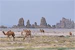 Tuf tours au Lac kadi (abbé), formée par des sources d'eau chaude sous les vieux lac au plus niveau, Triangle Afar, Djibouti, Afrique