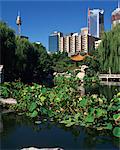 The lake in the Chinese Garden at Darling Harbour with the city skyline behind, in Sydney, New South Wales, Australia, Pacific