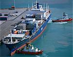 Schlepper bewegen ein Containerschiff im Hafen von Napier, Nordinsel, Neuseeland, Pazifik