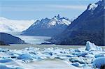 Gris Glacier, Torres del Paine National Park, au Chili, en Amérique du Sud