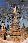 Guide des PA-O tirant sur les mauvaises herbes d'un stupa, Kakku ruines bouddhiques, un site de plus de deux mille briques et stupas de latérite, certains datant du 12ème siècle, l'État Shan, au Myanmar (Birmanie), Asie