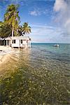 Plage cabana, Tobaco Caye, Belize Amerique centrale