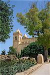 Cathedral of St. Louis, Carthage, Tunisia, North Africa, Africa