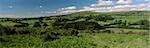 Scene near Low Town, Dartmoor, south Devon, England, United Kingdom, Europe