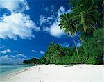 Beach, Anse Severe, La Digue, Seychelles, Indian Ocean, Africa