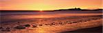 Dunstanburgh castle at sunrise, view across Embleton Bay, Northumberland, England, United Kingdom, Europe