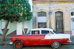 Old American car parked on street beneath fruit tree, Cienfuegos, Cuba, West Indies, Central America