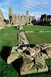 Easby Abbey, in der Nähe von Richmond, Yorkshire, England, Vereinigtes Königreich, Scheins