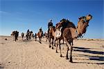 Tourists on camel trek, near Douz, Sahara desert, Tunisia, North Africa, Africa