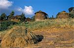 Felder und Korn speichert, Lalibela, Äthiopien, Afrika