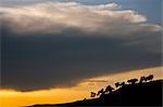 Coucher de soleil d'Afrique Geech Camp, Parc National du Simien (Éthiopie),