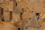 Goats and grain store in Dogon village, Bandiagara Escarpment, Mali, West Africa, Africa