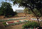 Garden of Nations in grounds of National Museum, Niamey, Niger, West Africa, Africa