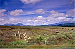 North Island, New Zealand, Australasia