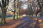 Clifton Downs, Bristol, Angleterre, Royaume-Uni, Europe