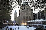 Christmas, Natural History Museum, Kensington, London, England, United Kingdom, Europe