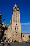 Cathédrale, Séville, Andalousie, Espagne, Europe