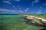 Playa Giron récif frangeant coral, Bahia de Cochinos (baie des cochons), Cuba, Antilles, Amérique centrale