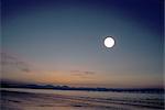 Moonlight over Cardigan Bay, Abersoch, Gwynedd, Wales, United Kingdom, Europe