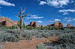 Parc d'état de Kodachrome Basin, Utah, États-Unis d'Amérique (États-Unis d'Amérique), Amérique du Nord