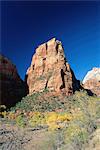 Angels Landing à l'automne, Zion National Park, Utah, États-Unis d'Amérique (États-Unis d'Amérique), Amérique du Nord